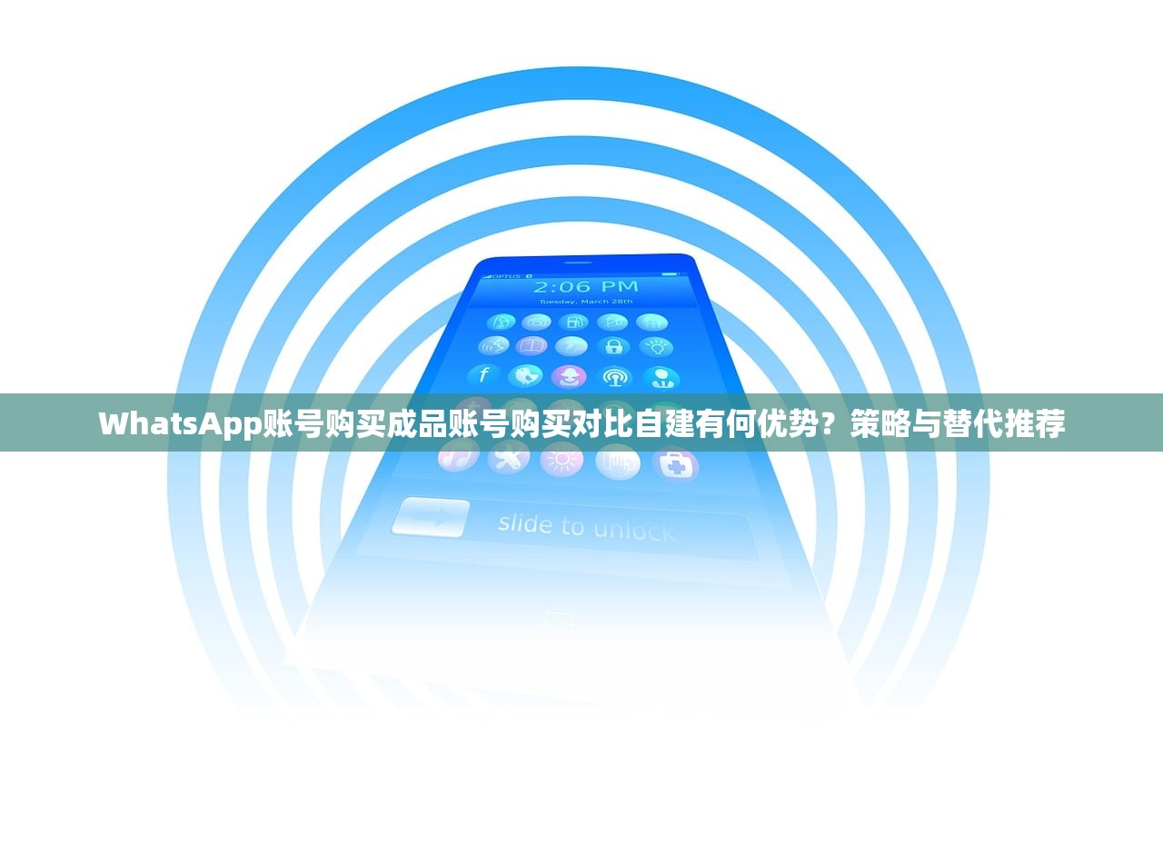 WhatsApp账号购买成品账号购买对比自建有何优势？策略与替代推荐