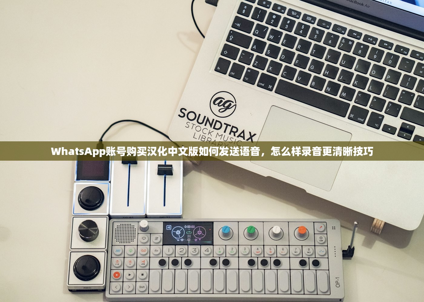WhatsApp账号购买汉化中文版如何发送语音，怎么样录音更清晰技巧