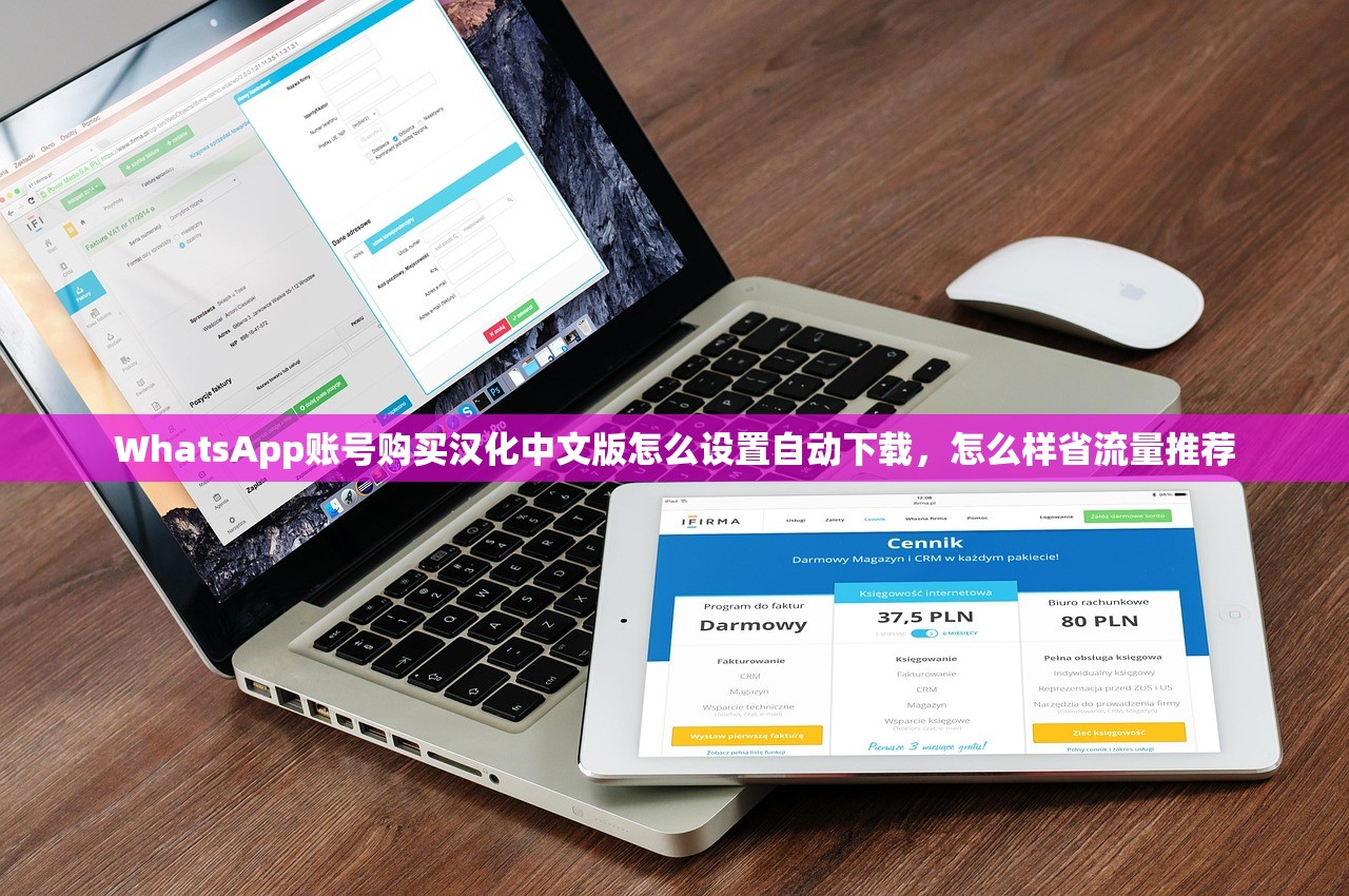 WhatsApp账号购买汉化中文版怎么设置自动下载，怎么样省流量推荐