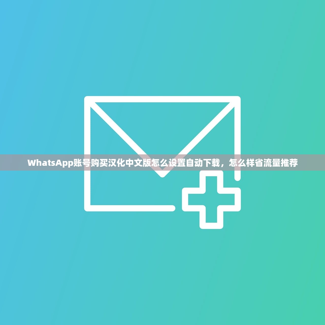 WhatsApp账号购买汉化中文版怎么设置自动下载,怎么样省流量推荐