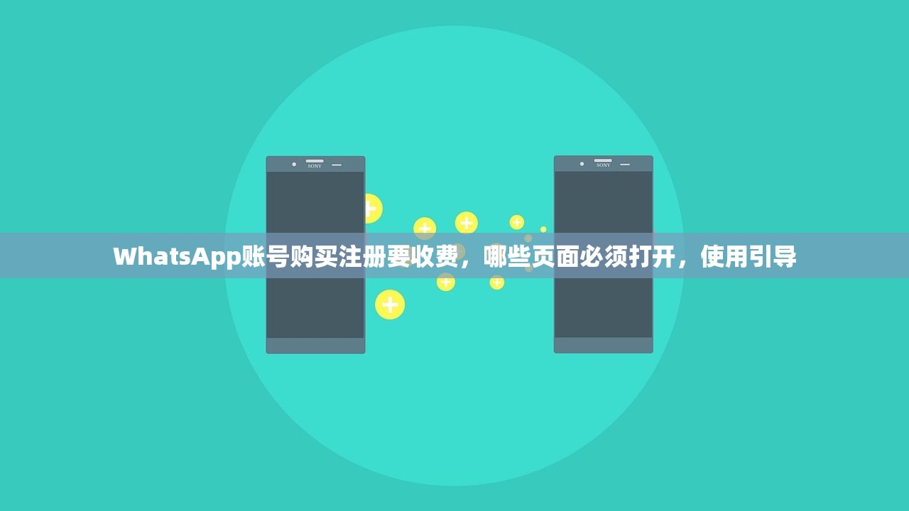 WhatsApp账号购买注册要收费,哪些页面必须打开,使用引导