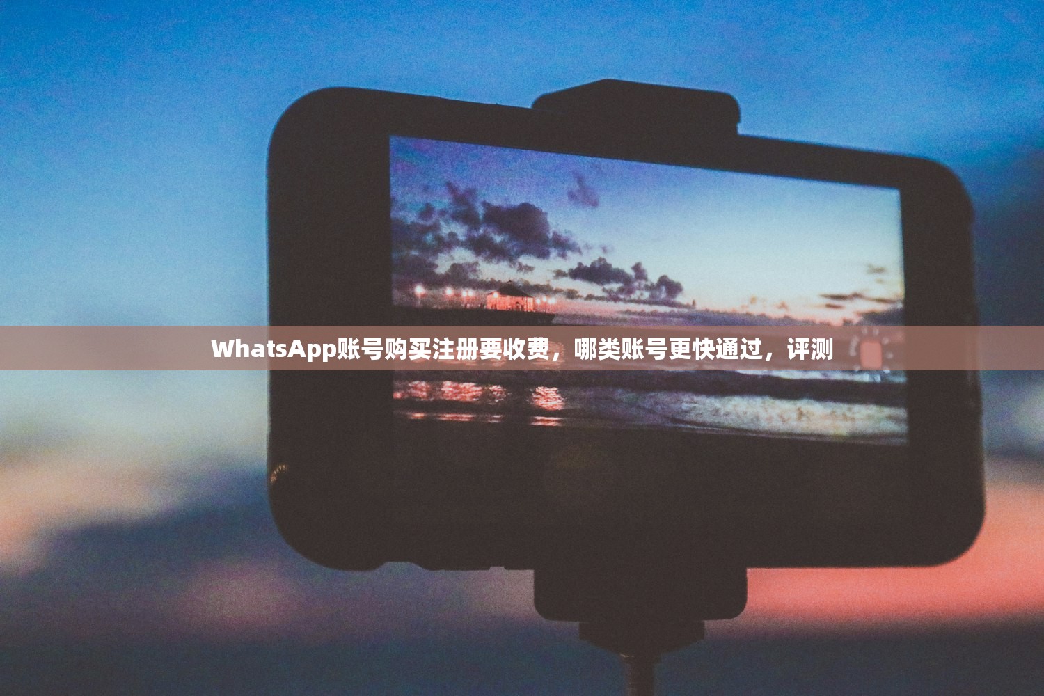 WhatsApp账号购买注册要收费,哪类账号更快通过,评测