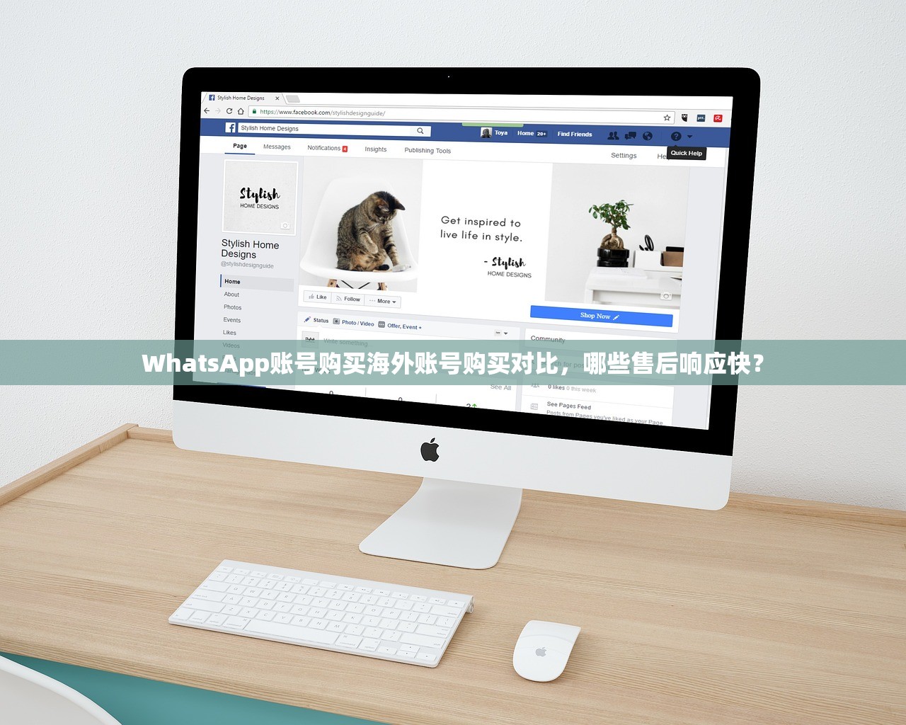 WhatsApp账号购买海外账号购买对比，哪些售后响应快？