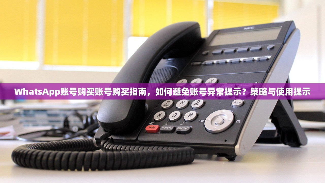 WhatsApp账号购买账号购买指南,如何避免账号异常提示?策略与使用提示