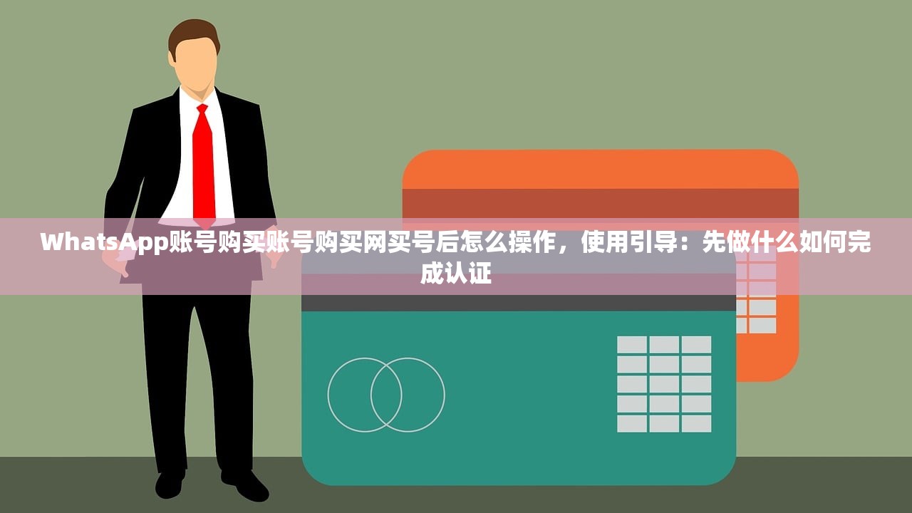 WhatsApp账号购买账号购买网买号后怎么操作，使用引导：先做什么如何完成认证