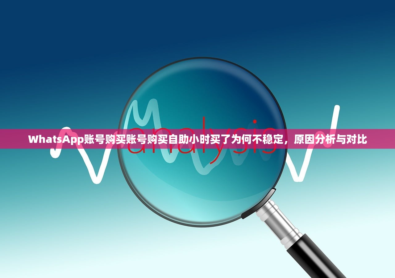 WhatsApp账号购买账号购买自助小时买了为何不稳定，原因分析与对比